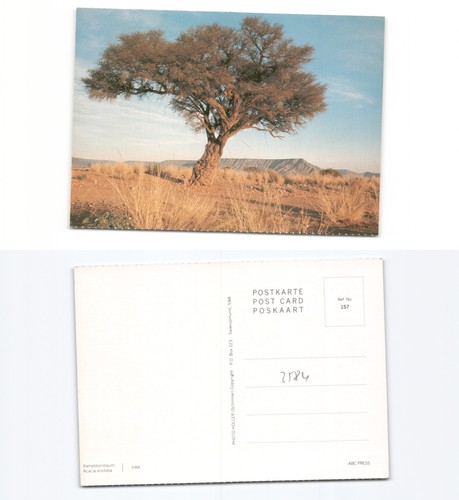 S dwestafrika - (k3584), s�dwestafrika