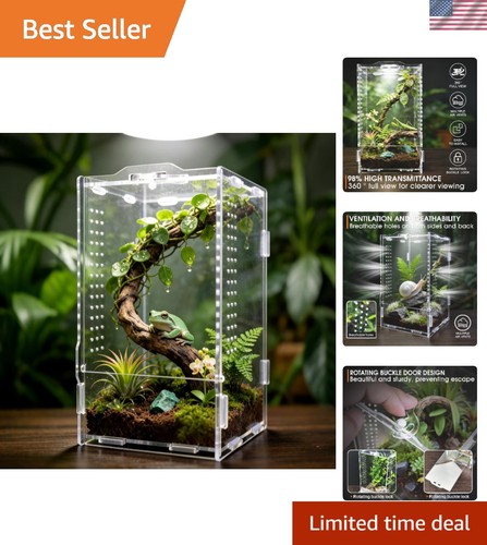 Transparent insect - transparent,
