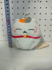 Natsume's Book of Friends