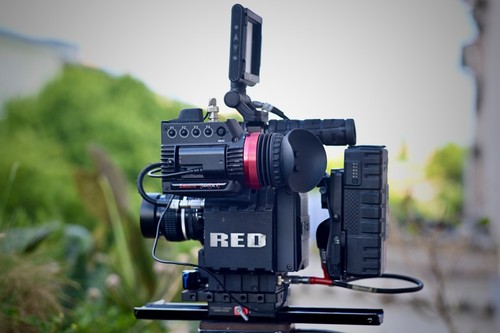 Red scarlet mysterium - scarlet, /