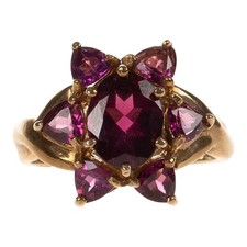 Damen Ring in Gold 333 mit Amethyst & Rhodolith Gr. 53/16,8 mm (D3467)