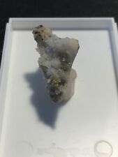 Ged. Gold, Quarz, Mina Roata, Cavnic, Rumänien