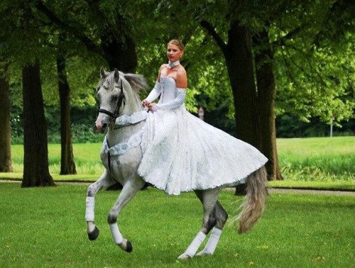 Reitkleid für shows - für, engel