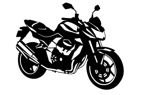 Kawasaki 750 - z, (2009)