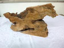 Olivenholz Olive Drechselholz