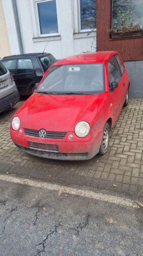 Lupo - ,