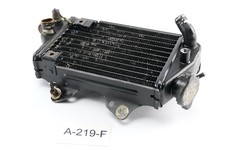Kawasaki KLX 650 C LX650C 1993 - Wasserkühler rechts A219F