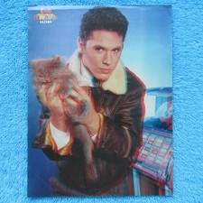 GAZEBO 3D Mini POSTER BRAVO 1