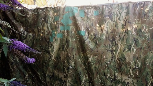 British army issue mtp basha - army,