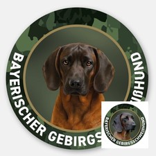 Bayrischer Gebirgsschweißhund