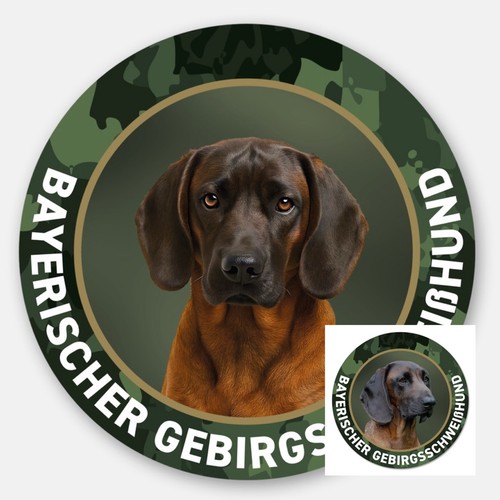 Bayrischer gebirgsschweißhund - bayrischer,