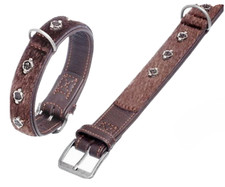 Exklusives Hundehalsband