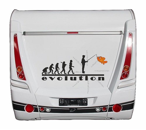 Evolution angler goldfisch - evolution,
