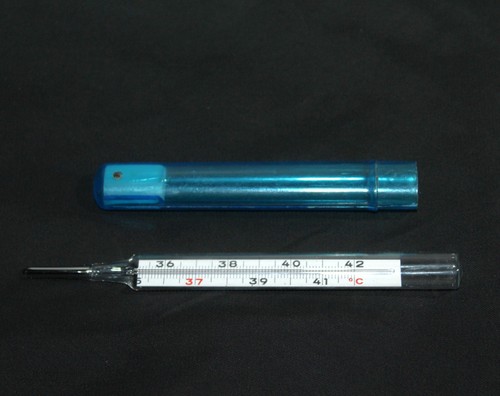 Vintage öko fieberthermometer - vintage, Öko-fieberthermometer