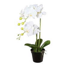 Künstliche orchidee 55cm - orchidee,