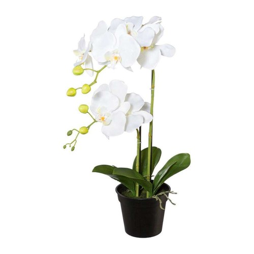 Künstliche orchidee 55cm - orchidee,