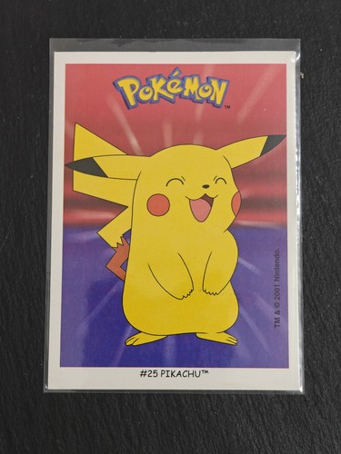 Pikachu pokémon dunkin - pikachu, #25