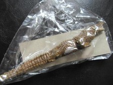 Krokodil,VEB Plaho,Tiere in