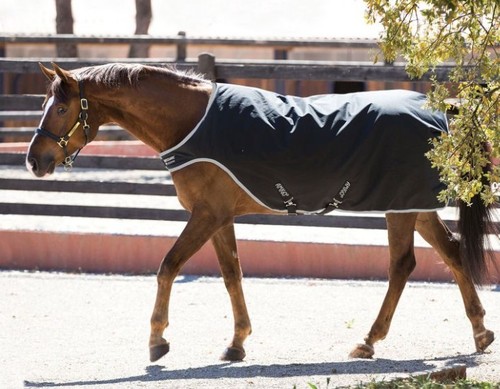 Horseware amigo walker medium - horseware,
