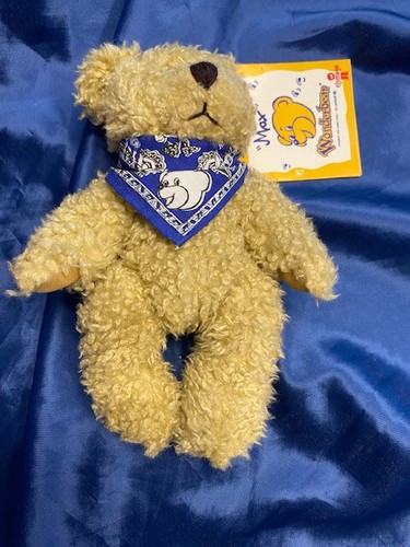 Teddy bär plüsch - teddy,