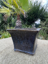 Bonsai  Schale Viereckig Schwer Emailliertes Steingut Braun - Blau