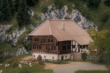 Faller Jubiläumsmodell