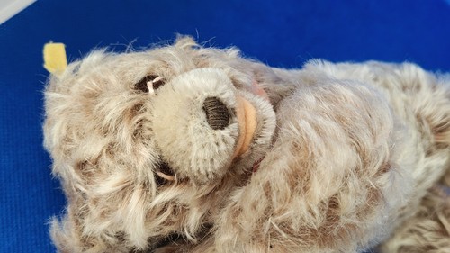 Steiff zotty teddy - steiff, liegender
