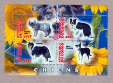 Dog Sheepdog Border Collie