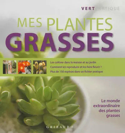 Mes plantes grasses andrea - plantes,