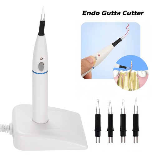 Dental guttapercha tooth - dental,