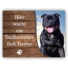 Staffordshire Bullterrier