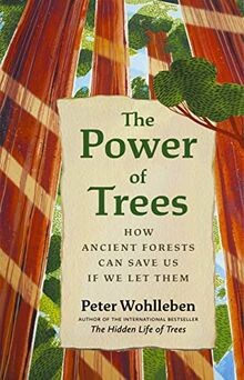 The power trees how - the, of