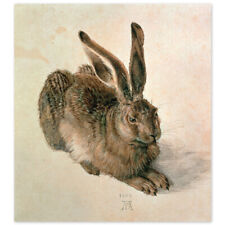 Albrecht Dürer, Feldhase, junger Hase, Poster