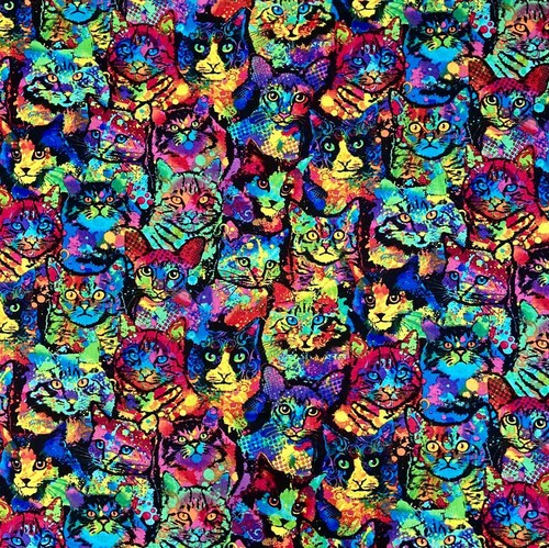 Crazy psycho cat skull art - crazy,