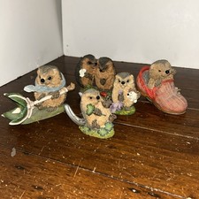 Hedgies Country Künstler