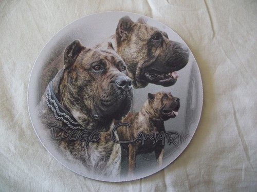 Mauspad dogo canario bis - -,