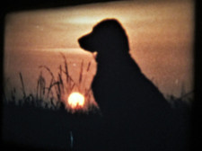 SUPER-8-FILM AGFA BESUCH BEI