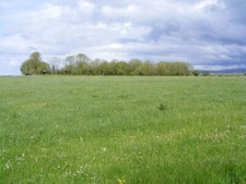 Foto 6x4 Silage oder Heufeld -