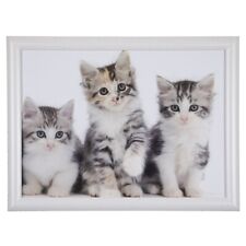 Knietablett Mars & More Katzen