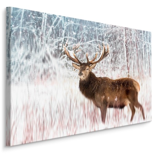 Canvas leinwand bilder xxl - canvas,