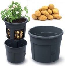 Kartoffel-Blumentopf