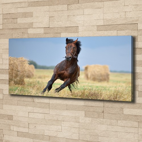Leinwandbild kunst druck - leinwandbild, kunst-druck