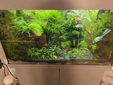 Aquarium Juwel 125l