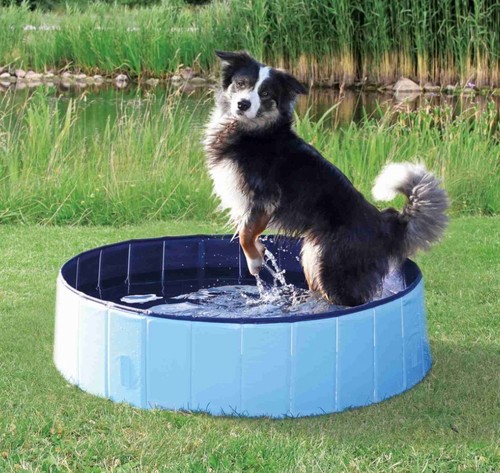 Trixie hundepool 12 - hundepool, ×