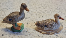 Schleich Ente schwimmend 13823 und Ente 13653 von 2016 und 2009 Wild life