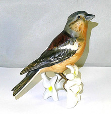 Goebel vogel buchfink - buchfink,