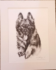 Deutscher Schäferhund  Portrait-Kohlezeichnung-signiert Gabriele Laubinger
