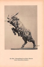 Der Bock - Renee Sintenis - 1930 - Historischer Kunstdruck ~16x25cm