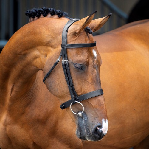 Shires lusso hunter - lusso, kappzaum