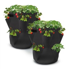 Filz Erdbeer Pflanzsack 2er